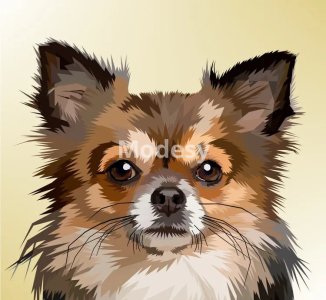 Animal colorful digital prints