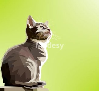 Animal colorful digital prints