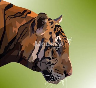 Animal colorful digital prints